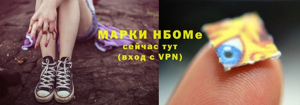 бошки Снежногорск